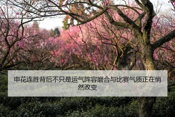 申花连胜背后不只是运气阵容磨合与比赛气质正在悄然改变