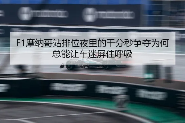 mo-na-ge-zhan-pai-wei-ye-li-de-qian-fen-miao-zheng-duo-wei-he-zong-neng-rang-che-mi-bing-zhu-hu-xi-3-273.jpg