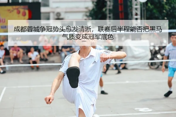 cheng-du-rong-cheng-zheng-guan-shi-tou-yu-fa-qing-xi-lian-sai-hou-ban-cheng-neng-fou-ba-hei-ma-qi-zhi-bian-cheng-guan-3-339.jpg