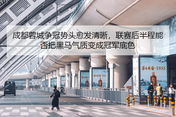成都蓉城争冠势头愈发清晰，联赛后半程能否把黑马气质变成冠军底色 - 体育资讯相关报道缩略图